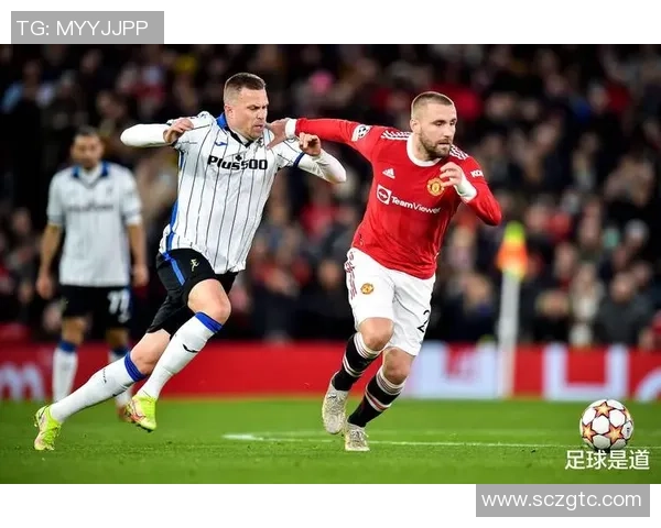 托特纳姆热刺与狼队对决谁能赢得胜利分析与预测